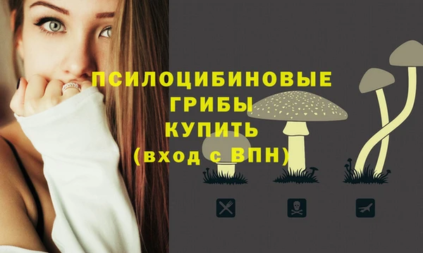 МДПВ Беломорск