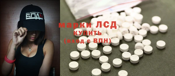 ГАЛЛЮЦИНОГЕННЫЕ ГРИБЫ Белокуриха