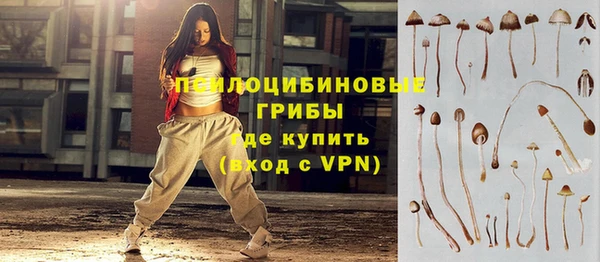 дурь Сосновка