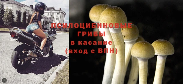 дмт Белоозёрский