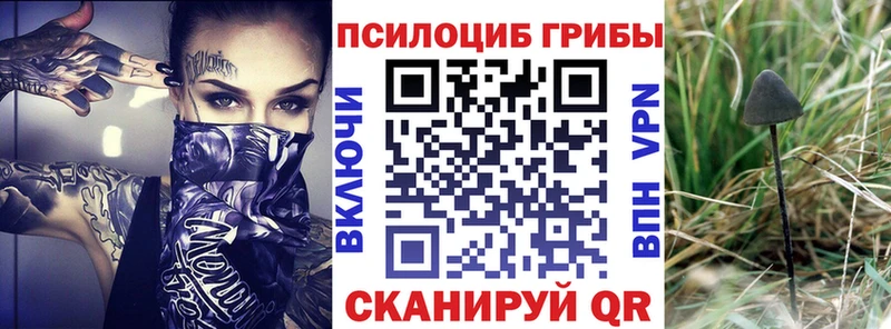 Галлюциногенные грибы Psilocybine cubensis  купить   Заводоуковск 